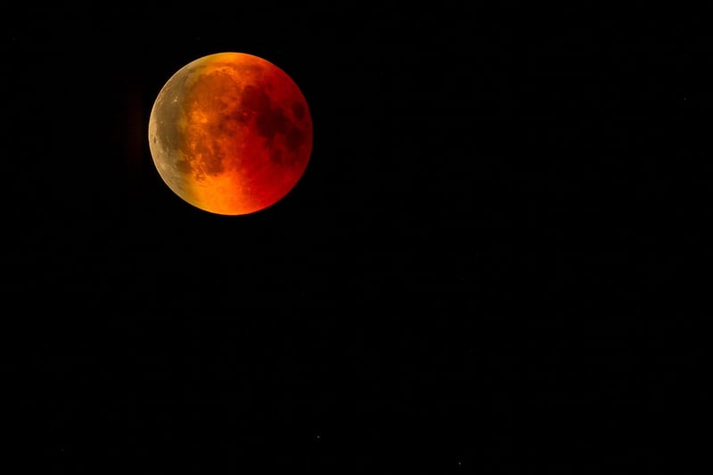 Eclipse Euphoria