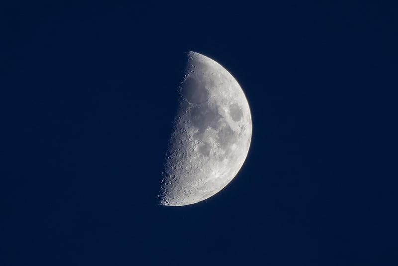 Lunar Bliss
